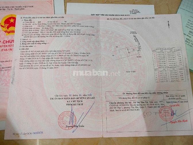 Bán đất full thổ Mặt Tiền Đường - xã An Thới Đông Huyện Cần Giờ 