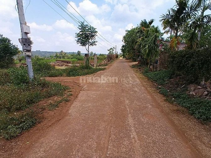 GIA ĐÌNH BÁN RẺ LÔ ĐẤT ĐỂ XÂY NHÀ ĐỊNH CƯ NƠI KHÁC. QL 29 XÃ EA DRÔNG 