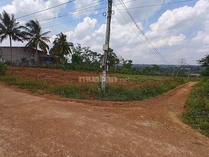 GIA ĐÌNH BÁN RẺ LÔ ĐẤT ĐỂ XÂY NHÀ ĐỊNH CƯ NƠI KHÁC. QL 29 XÃ EA DRÔNG 