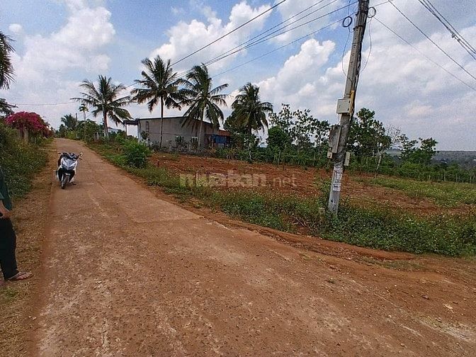 GIA ĐÌNH BÁN RẺ LÔ ĐẤT ĐỂ XÂY NHÀ ĐỊNH CƯ NƠI KHÁC. QL 29 XÃ EA DRÔNG 