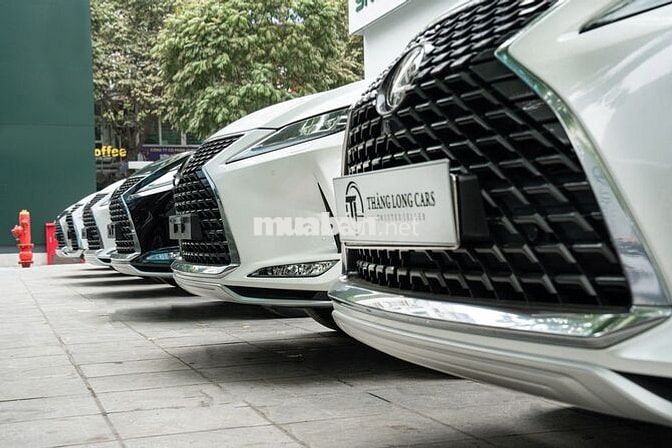 MUA XE CŨ GIÁ CAO NHẤT DÒNG XE SANG Lexus BMW