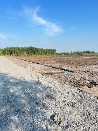 545tr/1000m đất vườn đường ô tô ,xã thạnh hoà ,bến lức long an ,