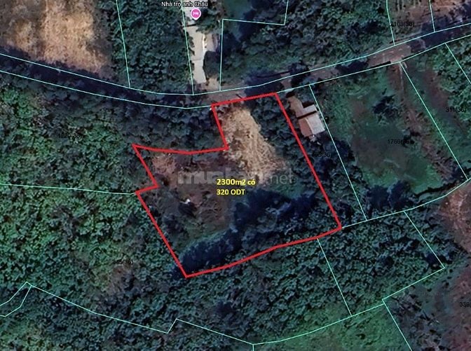 2300m2 ĐẤT HÒA LỢI THÀNH PHỐ MỚI BÌNH DƯƠNG