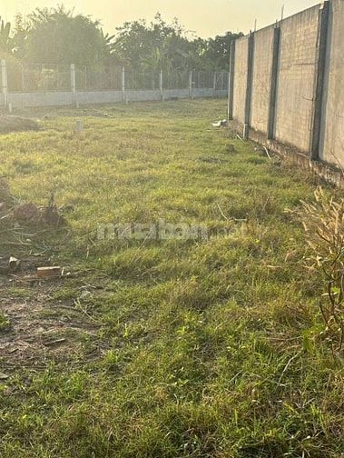 SỐC GIÁ ĐẤT QUÁ MỀM NGAY MẶT TIỀN ĐƯỜNG NHỰA XÃ PHƯỚC HIỆP GIÁ 500TR