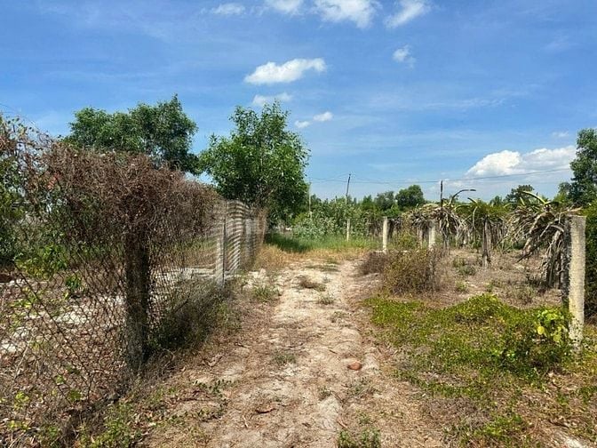 🔵 1000m2 Sẵn 100m2 Thổ Cư, Tân Tiến Lagi Gần Biển