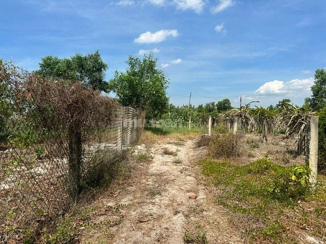 🔵 1000m2 Sẵn 100m2 Thổ Cư, Tân Tiến Lagi Gần Biển