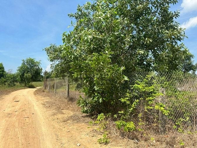 🔵 1000m2 Sẵn 100m2 Thổ Cư, Tân Tiến Lagi Gần Biển
