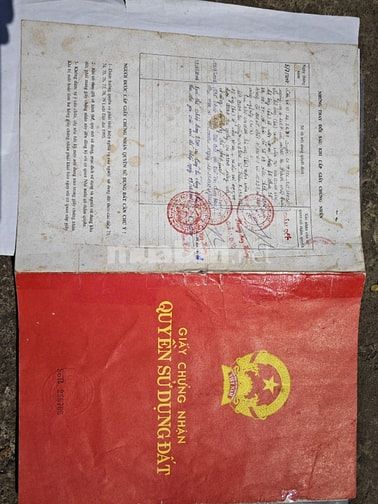 Bán lô đất đẹp tại Bảo lộc .Diện tích: 1,1 hecta