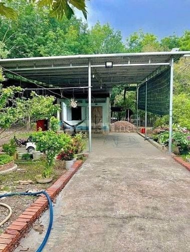 Bán Gấp Đất Vườn Tâm Huyết tại Bình Dương – 1098m² Giá Chỉ 490 Triệu