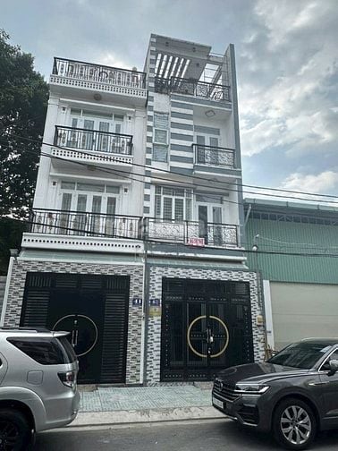 Bán nhà mặt tiền Đường số Khu Dân Cư Nam Hùng Vương, An Lạc, BÌnh Tân