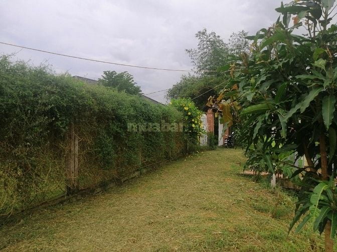Bán Nhà Vườn Mặt Tiền Sông Siêu Lớn