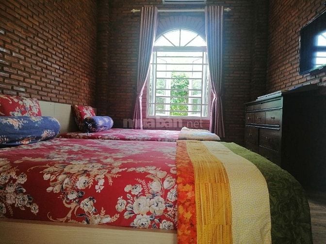 Bán Nhà Vườn Mặt Tiền Sông Siêu Lớn