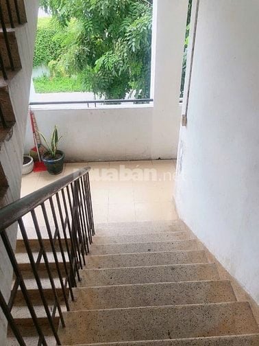 CC III Bùi Minh Trực P5 Q8 44,3m2 Sổ hồng trao tay 
