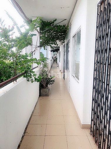 CC III Bùi Minh Trực P5 Q8 44,3m2 Sổ hồng trao tay 