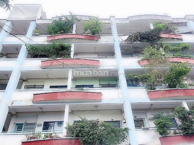 CC III Bùi Minh Trực P5 Q8 44,3m2 Sổ hồng trao tay 