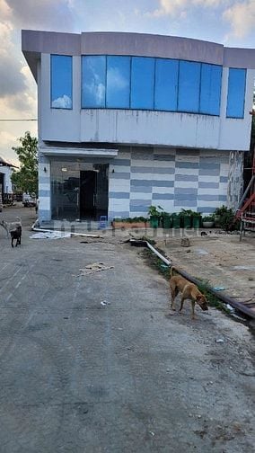 Cho thuê xưởng, kho bãi 6.000m2 Bình Chánh ( đường Nguyễn Hữu Trí)