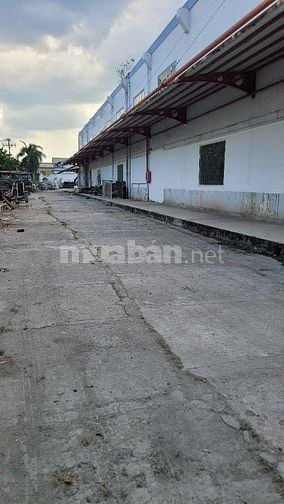 Cho thuê xưởng, kho bãi 6.000m2 Bình Chánh ( đường Nguyễn Hữu Trí)