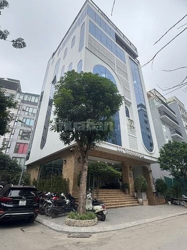 Bán Tòa Văn Phòng Dịch Vọng Hậu Xây Mới Lô Góc 8 Tầng 1 Hầm MT 12,5M
