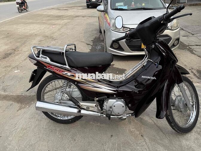 e bán anpha zin cọp biển đẹp chuẩn màu nâu
