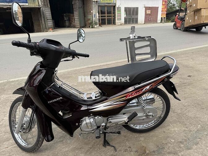 e bán anpha zin cọp biển đẹp chuẩn màu nâu