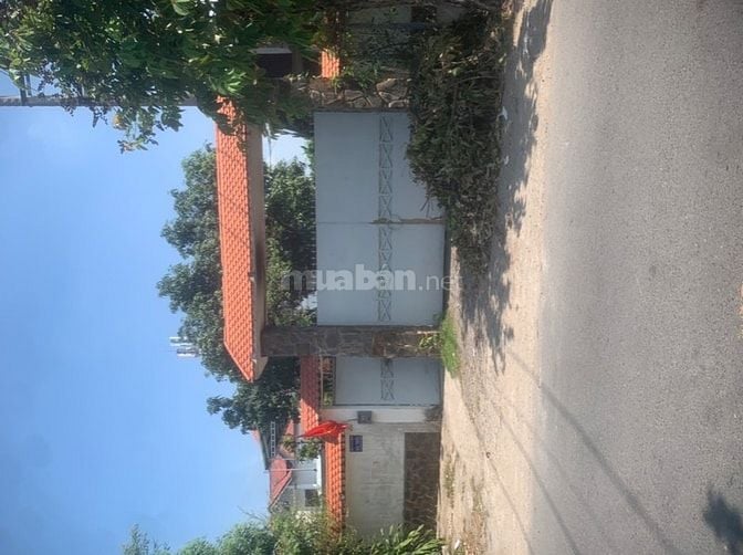 Cho thuê nhà và nhà xưởng  mặt tiền đường 