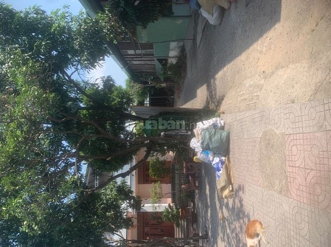 Cho thuê nhà và nhà xưởng  mặt tiền đường 