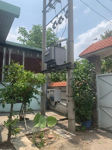 Cho thuê nhà và nhà xưởng  mặt tiền đường 