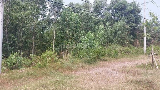 Thửa 485, Đường Nguyễn Hữu Cảnh, Xã Long Tân, Huyện Nhơn Trạch, Đồng N