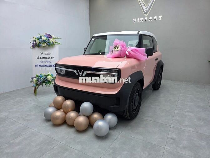 Đưa trước có 45 Triệu mua Ô Tô ai lại mua xe máy