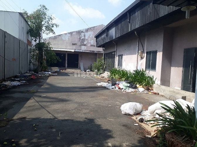 CHO THUÊ KHO BÃI TẠI QUẬN 7 (CÔNG TY KHO BÃI THÀNH PHỐ HỒ CHÍ MINH)