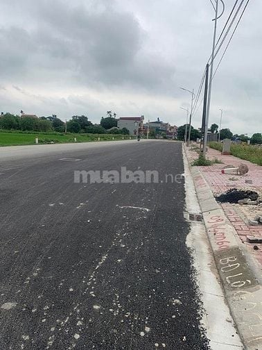Chính chủ bán đất đấu giá xã Thị Trấn Vương, huyện Tiên Lữ, Hưng Yên