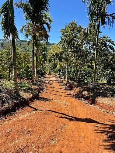 Giá mềm cho lô đất 1,2HA xã Cư Né, huyện Krông Búk, Tỉnh Đắk lắk