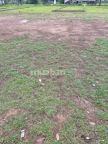 ĐẤT ĐẤU GIÁ QUANG BÈO .TT XUÂN MAI LÔ 103M CÁCH QL 6 CHỈ 100M