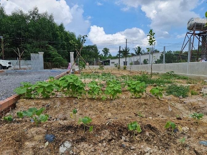 Đất ngay đường Hùng Vương,thổ,nhà vườn,kho,xưởng 5,6ty/677m,chính chủ