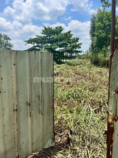 CHÍNH CHỦ GỬI BÁN ĐẤT GÂN KCN AN HẠ, XÃ PHẠM VĂN HAI BÌNH CHÁNH