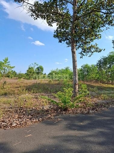 Bán đất Long Tân City đường Nguyễn Ái Quốc Nhơn Trạch giá 13tr/m2