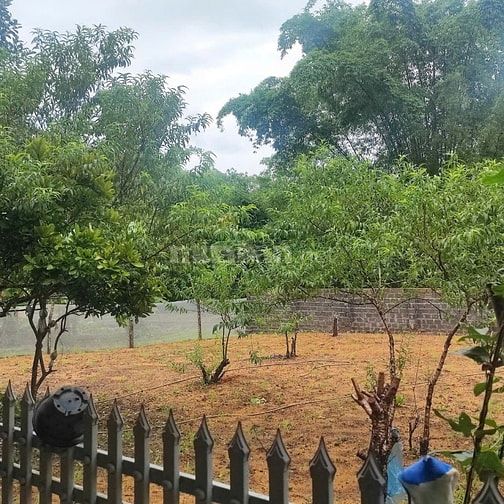 Gia đình cần tiền bán nhanh lô đất thổ cư sẵn nhà giá cực re