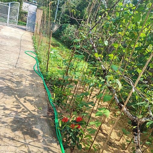 Gia đình cần tiền bán nhanh lô đất thổ cư sẵn nhà giá cực re