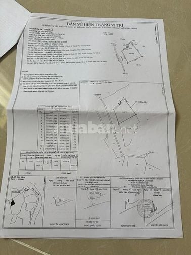 Bán Đất Mặt Tiền Đường đê gốc tre 