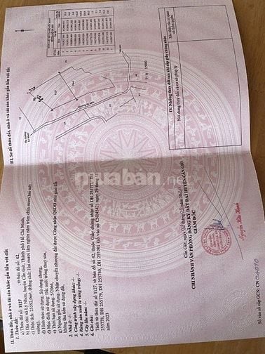 Bán Đất Mặt Tiền Đường đê gốc tre 