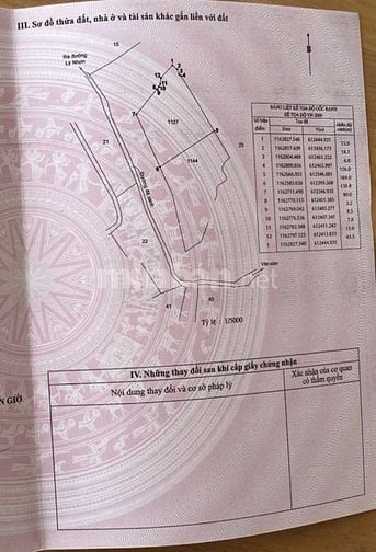 Bán Đất Mặt Tiền Đường đê gốc tre 