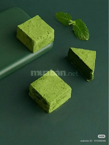 TUYỂN VỊ TRÍ TƯ VẤN BÁN HÀNG - CSKH TP.HCM