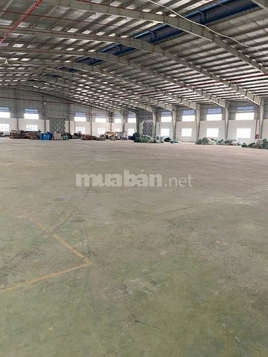 Cho thuê kho xưởng Cụm Công Nghiệp Lợi Bình Nhơn, Long An – vị trí đẹp