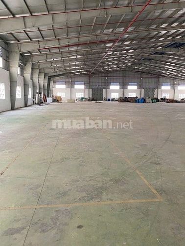 Cho thuê kho xưởng Cụm Công Nghiệp Lợi Bình Nhơn, Long An – vị trí đẹp