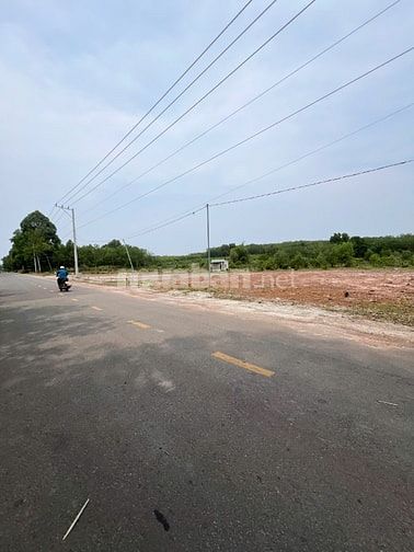 ĐẤT MẶT TIỀN LỘ GIỚI 10M GẦN TRUNG TÂM Phú Giáo