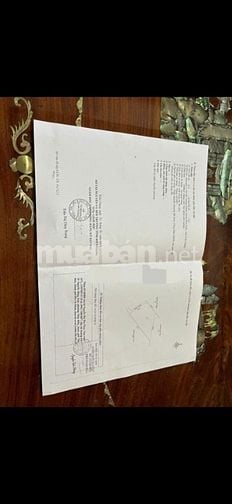 bán đất 111/ THD, Dương Đông, Phú Quốc: 40x50/ 30 tỷ/ 2 MT.