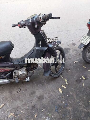 Honda dream thái 203