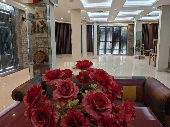 SIÊU PHẨM BIỆT THỰ LÔ GÓC MẶT PHỐ TAM TRINH HAI MẶT THOÁNG VĨNH VIỄN H