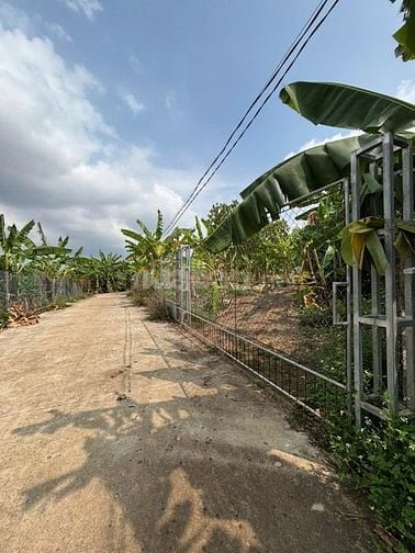Cô Chú lớn tuổi - Cần Bán Gấp Lô Đất Vườn 2100m2 Dầu Giây, Đồng Nai