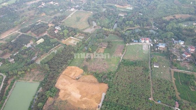 Bán đất tại Xã Liên Sơn, Lương Sơn, Hòa Bình, diện tích 1170m giá hợp 